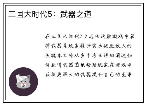 三国大时代5：武器之道
