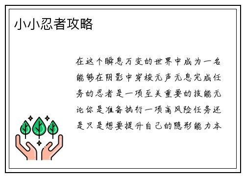 小小忍者攻略